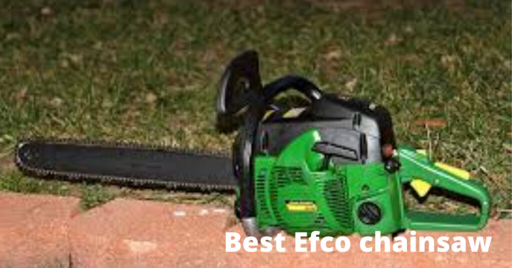 Best Efco chainsaw
