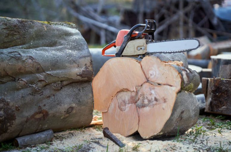how to choose best chainsaw